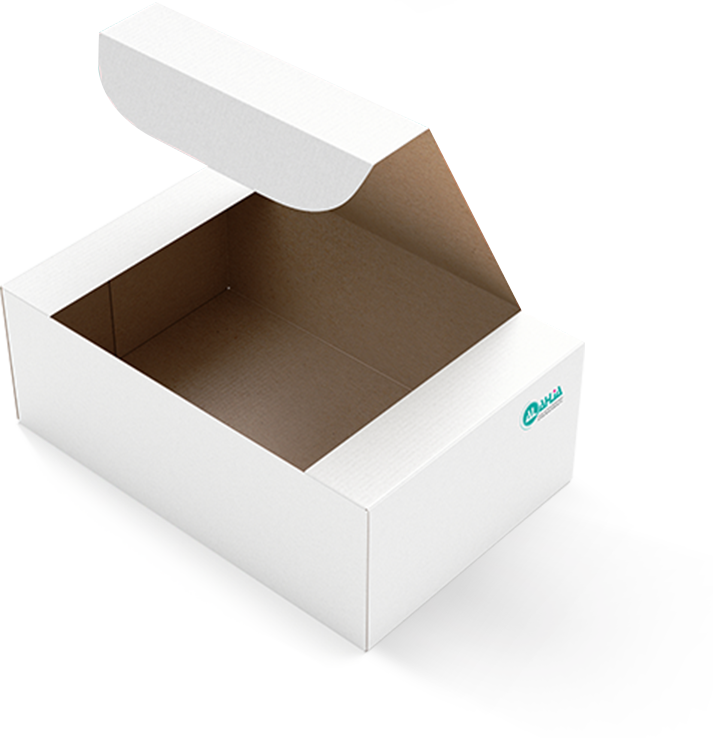 Food Pckaging Box №1