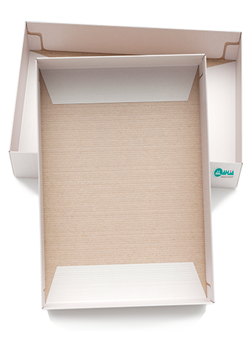 Box Image